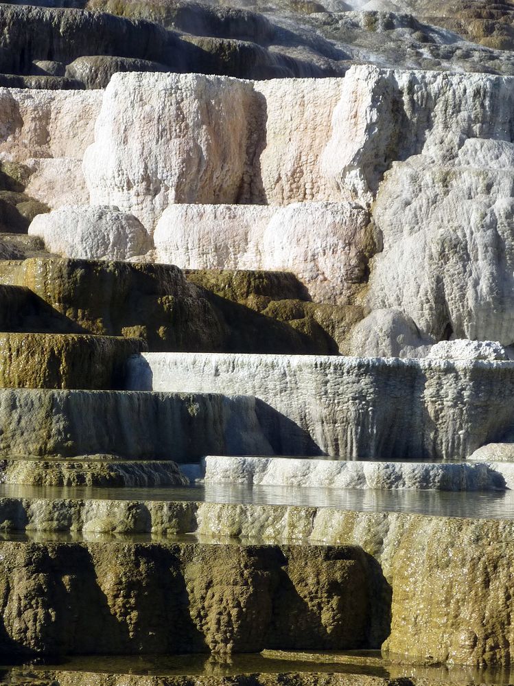 Yellowstone Mammoth Hotsprings (31).JPG